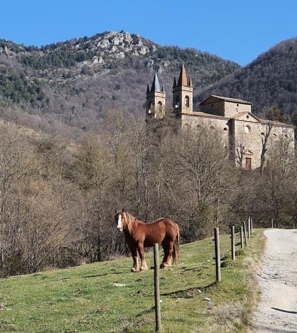 El Mussol De La Vila Camprodon, Balconets Amb Vistes A La Placa Εξωτερικό φωτογραφία